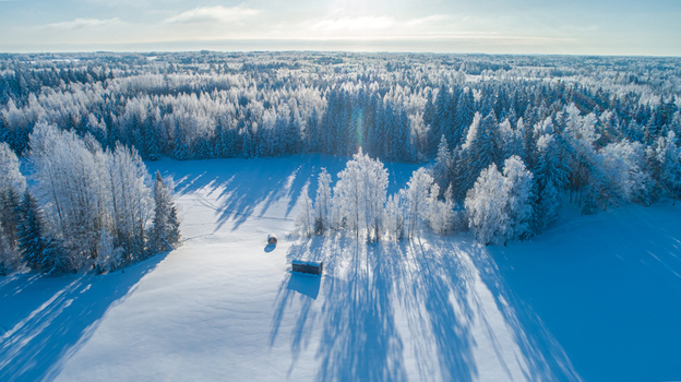 Aerial view of a snow covered forest landscape with frost covered trees and long shadows cast across the white field in Latvia. Aerial view of a snow covered forest landscape with frost covered trees and long shadows cast across the white field in Latvia.