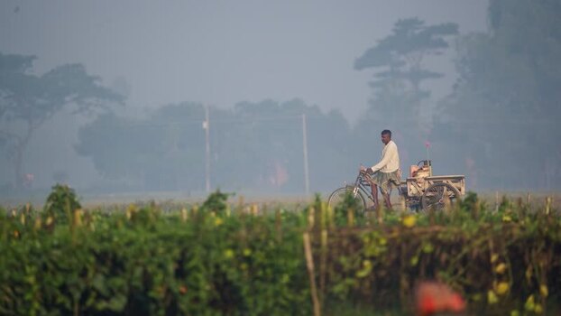 View of a man riding a bicycle through rural fields in Bangladesh. View of a man riding a bicycle through rural fields in Bangladesh.