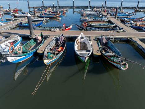 Aerial view of a multitude of colorful fishing boats docked in the calm harbor waters of Porta de Abrigo da Torreira Torreira Aveiro Portugal.