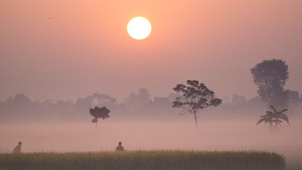 View of people in a misty field at sunrise in Bogura Bangladesh. View of people in a misty field at sunrise in Bogura Bangladesh.
