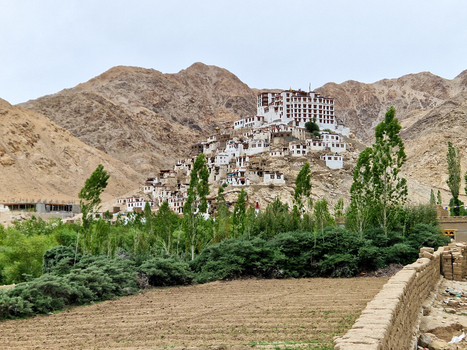 View of Chemrey Gompa monastery perched on a rocky hillside with lush green trees and a stone wall in the foreground in Chemrey Ladakh India.
