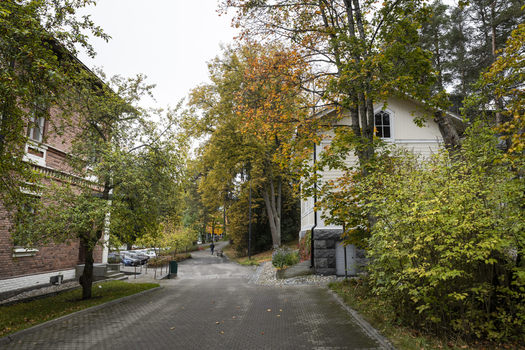 View of a quiet street scene with a brick building and a wooden house surrounded by autumn trees in Jyvaskyla Central Finland Finland.