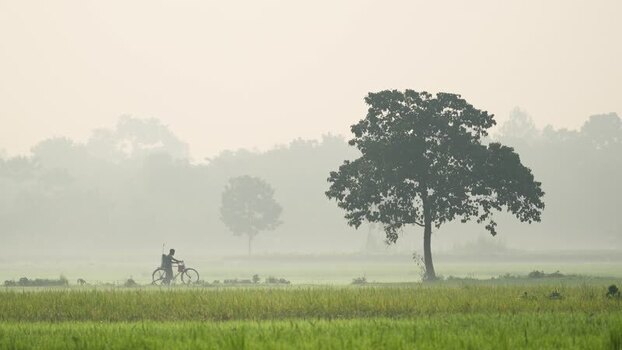 View of a man with a bicycle in a misty rural field Bangladesh.