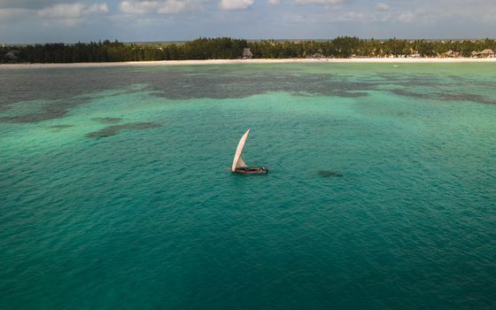 Aerial view of a traditional dhow sailing on turquoise waters contrasting with the white sandy shore and the lush green trees along the coast Paje Unguja South Region Tanzania. Aerial view of a traditional dhow sailing on turquoise waters contrasting with the white sandy shore and the lush green trees along the coast Paje Unguja South Region Tanzania.