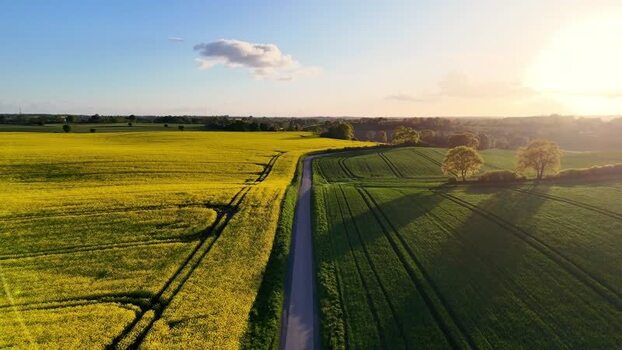 Aerial view of rapeseed fields and a rural road Germany.