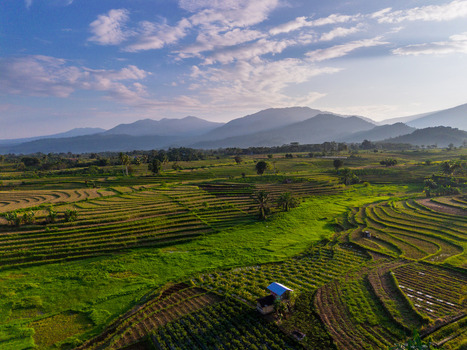 Aerial view of Kemumu rice terraces with lush green paddies small huts and distant mountains under a bright sky in Arma Jaya Bengkulu Indonesia. Aerial view of Kemumu rice terraces with lush green paddies small huts and distant mountains under a bright sky in Arma Jaya Bengkulu Indonesia.