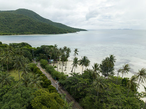 Aerial view of lush green trees meet the white sand beach with the turquoise ocean stretching to the horizon at Bobby Beach Karimunjawa Central Java Indonesia.