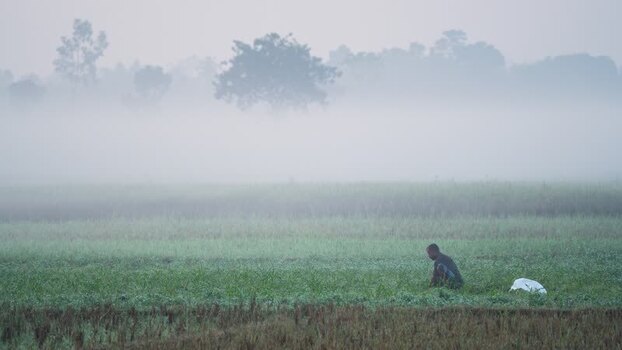 View of a farmer working in a foggy field in Bogura Bangladesh.