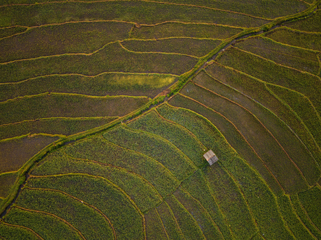 Aerial view of Kemetul rice terraces with lush green fields irrigation channels and a small wooden hut in Susukan Central Java Indonesia. Aerial view of Kemetul rice terraces with lush green fields irrigation channels and a small wooden hut in Susukan Central Java Indonesia.