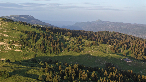 Aerial view of Col de la Faucille with lush green mountain slopes and dense coniferous forests under soft evening light in Gex Auvergne Rhone Alpes France.