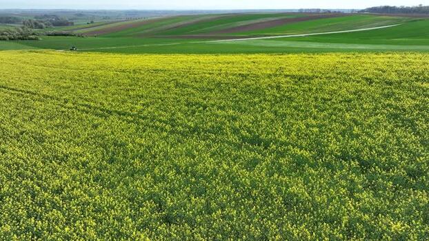 Aerial view of yellow and green farmland France.