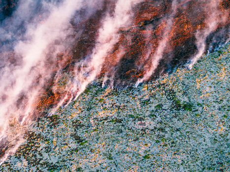 Aerial view of a volcanic eruption with glowing lava flowing over mossy terrain and plumes of smoke rising into the air in Iceland. Aerial view of a volcanic eruption with glowing lava flowing over mossy terrain and plumes of smoke rising into the air in Iceland.