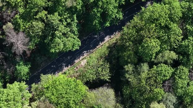 Aerial view of road cutting through lush trees Portugal. Aerial view of road cutting through lush trees Portugal.
