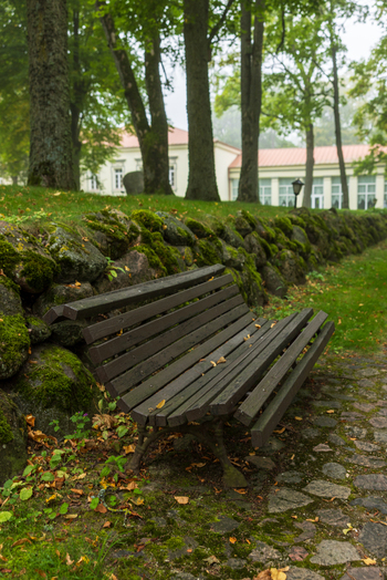 View of a wooden park bench resting against a mossy stone wall with tall trees and a historic manor house in the background Taujenai Vilnius County Lithuania.
