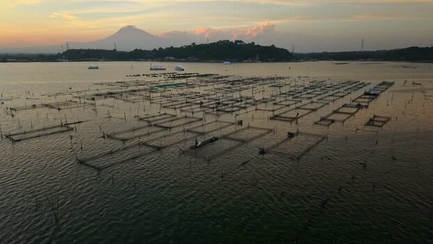 Aerial view of Rowo Jombor fishing structures Indonesia. Aerial view of Rowo Jombor fishing structures Indonesia.