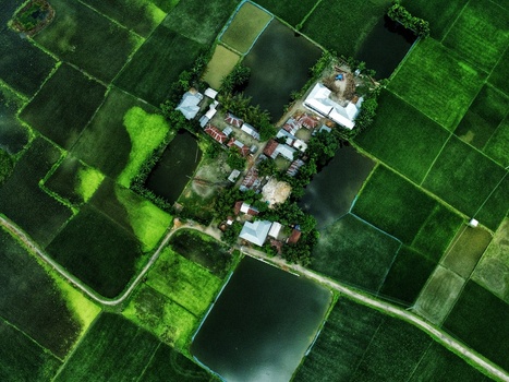 Nilphamari Bangladesh 01 May 2026 Aerial view of a small village settlement with tin roofed houses surrounded by lush green rice paddies and rectangular water ponds.