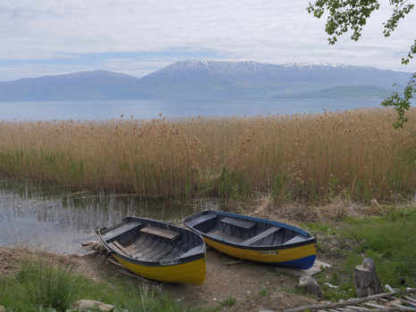 View of two small yellow and blue wooden boats moored on the shore of Lake Ohrid surrounded by tall reeds with mountains in the background in Pogradec Korce County Albania. View of two small yellow and blue wooden boats moored on the shore of Lake Ohrid surrounded by tall reeds with mountains in the background in Pogradec Korce County Albania.