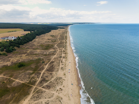 Aerial view of North Beach Shkorpilovci with sandy dunes forest and the Black Sea coastline in Shkorpilovtsi Varna Bulgaria.