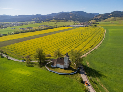 Aerial view of All Saints Church surrounded by vibrant yellow rapeseed fields and green meadows under a clear blue sky Ludrova Zilina Region Slovakia. Aerial view of All Saints Church surrounded by vibrant yellow rapeseed fields and green meadows under a clear blue sky Ludrova Zilina Region Slovakia.