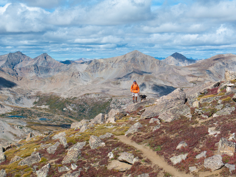 Aerial view of a hiker with a dog on a rocky mountain trail near Mount Harvard with distant peaks and alpine terrain in Buena Vista Colorado United States.