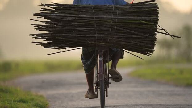 View of a man riding a bicycle with a bundle of sticks Bangladesh.