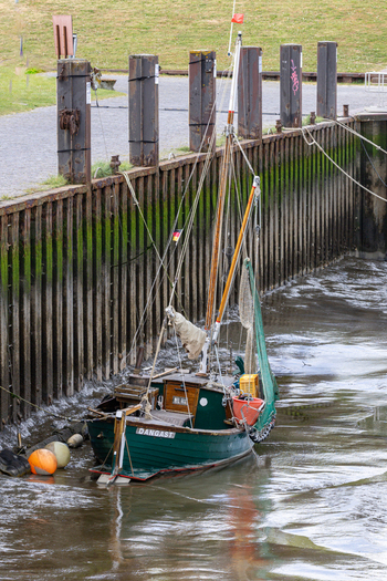 View of the traditional green fishing boat Dangast moored against a mossy harbor wall in Varel Lower Saxony Germany.