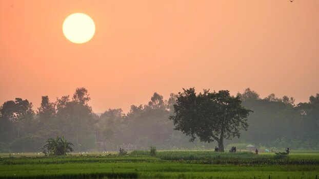 View of the sun setting over green fields and trees Bangladesh.