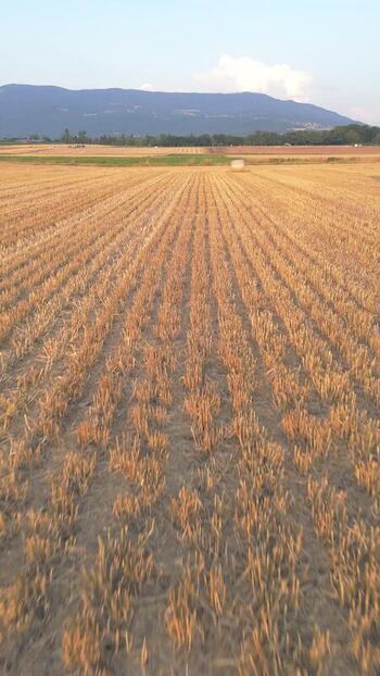 Aerial view of harvested wheat fields and distant mountains Switzerland.