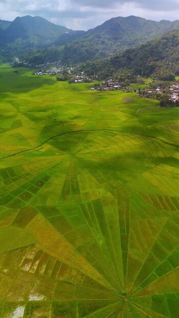 Aerial view of Lingko Spider Web Rice Fields and mountains Indonesia.