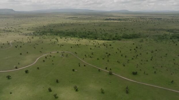 Aerial view of Swara Plains Conservancy Kenya. Aerial view of Swara Plains Conservancy Kenya.