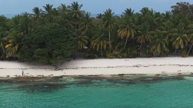 Aerial view of a tropical beach and palm trees Maldives.