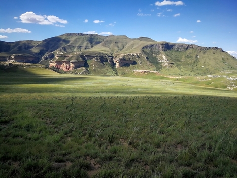 View of the dramatic sandstone cliffs and expansive grassy plains of Golden Gate Highlands National Park Clarens Free State South Africa. View of the dramatic sandstone cliffs and expansive grassy plains of Golden Gate Highlands National Park Clarens Free State South Africa.