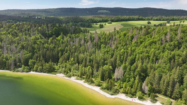 Aerial view of the tranquil Lac de Joux s shoreline fringed by emerald forests meeting the verdant pastures under a vast sky Le Lieu Vaud Switzerland.