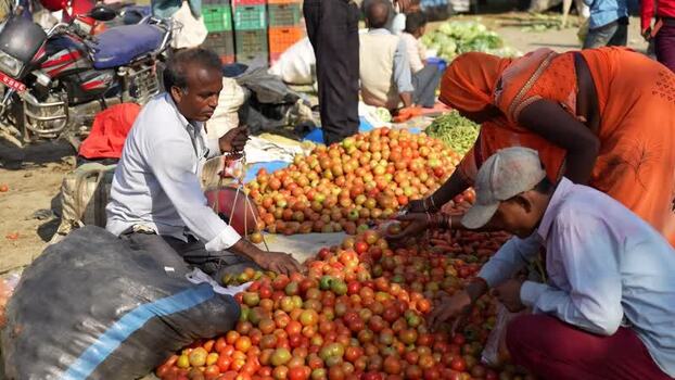 View of people buying and selling tomatoes at a local market Nepal View of people buying and selling tomatoes at a local market Nepal