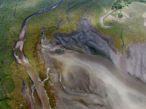 Aerial view of Abstract Tidal Patterns Culbin Sands showing intricate winding channels sandy textures and lush green salt marshes in Nairn Scotland United Kingdom. Aerial view of Abstract Tidal Patterns Culbin Sands showing intricate winding channels sandy textures and lush green salt marshes in Nairn Scotland United Kingdom.