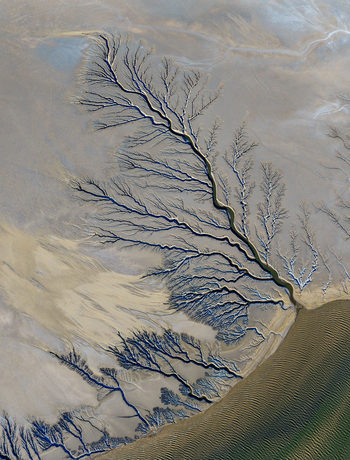 Aerial view of the intricate dendritic drainage patterns of the Reserva de la Biosfera Alto Golfo de California y Delta del Rio Colorado in Tijuana Baja California Mexico. Aerial view of the intricate dendritic drainage patterns of the Reserva de la Biosfera Alto Golfo de California y Delta del Rio Colorado in Tijuana Baja California Mexico.