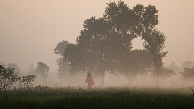 View of a person walking through a foggy field Bangladesh. View of a person walking through a foggy field Bangladesh.