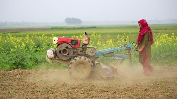 View of a woman tilling a field Bangladesh.
