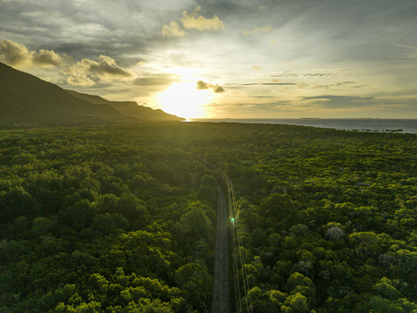 Aerial view of a road cutting through lush mangrove forest with the sun setting behind a mountain range Karimunjawa Central Java Indonesia.