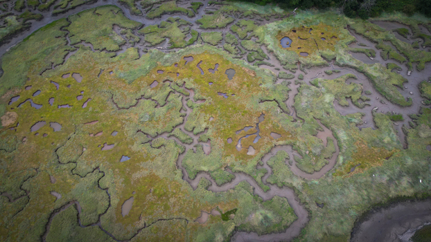 Aerial view of a sinuous network of tidal channels carving through vibrant green and golden marshes a mesmerizing tapestry of nature s artistry Henvic Bretagne France.