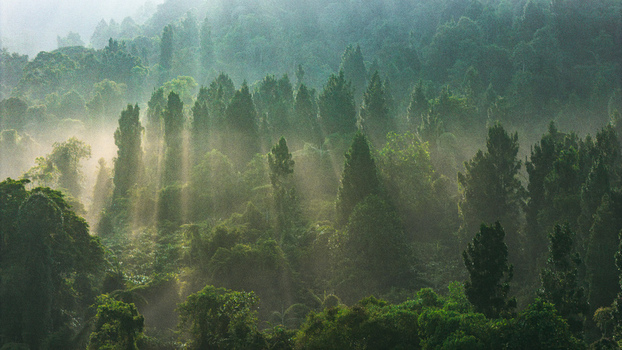 Aerial view of sunbeams piercing through the mist over a dense tropical forest canopy in Sukabumi West Java Indonesia. Aerial view of sunbeams piercing through the mist over a dense tropical forest canopy in Sukabumi West Java Indonesia.