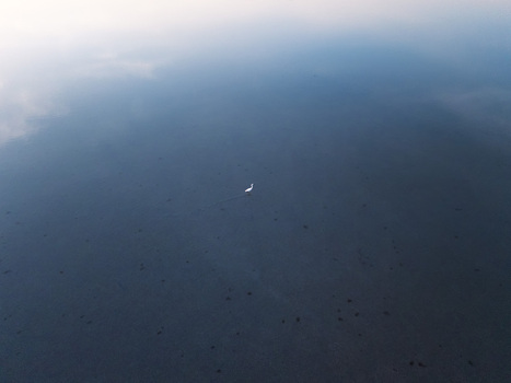 Aerial view of a white Egret wading in the calm shallow waters of Narta Lagoon in Vlore Vlore County Albania.