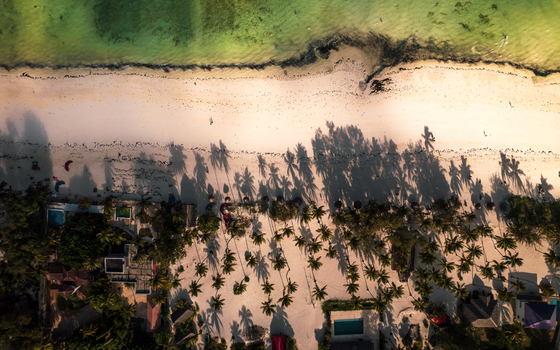 Aerial view of the shoreline s pale sands embraced by the turquoise sea palm trees casting shadows on the beach Paje Tanzania. Aerial view of the shoreline s pale sands embraced by the turquoise sea palm trees casting shadows on the beach Paje Tanzania.
