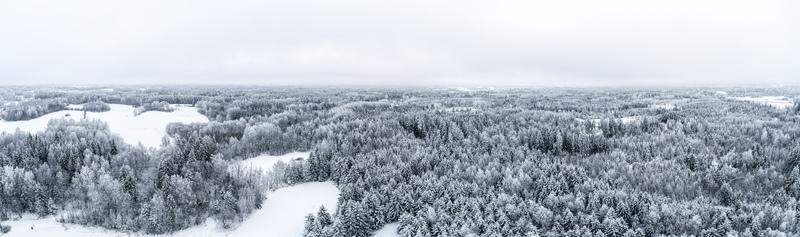Aerial view of a vast snow covered forest landscape with frost laden trees and open white fields under an overcast winter sky in Latvia. Aerial view of a vast snow covered forest landscape with frost laden trees and open white fields under an overcast winter sky in Latvia.