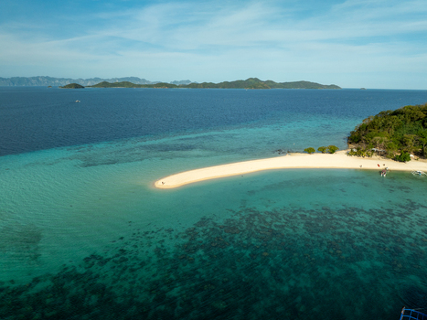 Aerial view of the white sandbar of Malcapuya Island surrounded by turquoise water and coral reefs in Coron Mimaropa Philippines. Aerial view of the white sandbar of Malcapuya Island surrounded by turquoise water and coral reefs in Coron Mimaropa Philippines.