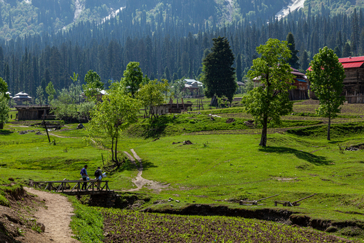 View of the lush green meadows of Arang Kel with people crossing a wooden bridge and traditional houses against a backdrop of dense pine forests in Arang Kel Azad Kashmir Pakistan. View of the lush green meadows of Arang Kel with people crossing a wooden bridge and traditional houses against a backdrop of dense pine forests in Arang Kel Azad Kashmir Pakistan.