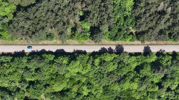 Aerial view of a car driving through a forest France.
