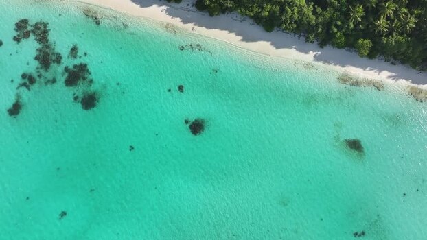 Aerial view of a tropical beach with turquoise water and palm trees Maldives. Aerial view of a tropical beach with turquoise water and palm trees Maldives.