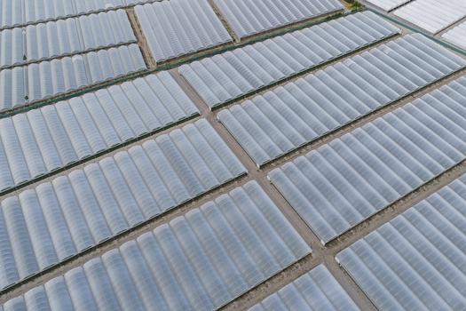 Aerial view of numerous greenhouses and polytunnels arranged in neat rows across an agricultural field in Paestum Campania Italy.