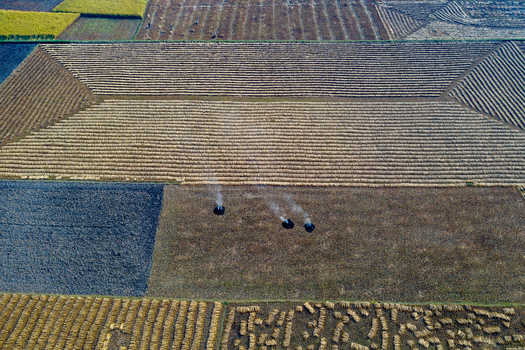 Aerial view of agricultural fields with harvested crops and small fires burning in Panchagarh Rangpur Division Bangladesh. Aerial view of agricultural fields with harvested crops and small fires burning in Panchagarh Rangpur Division Bangladesh.